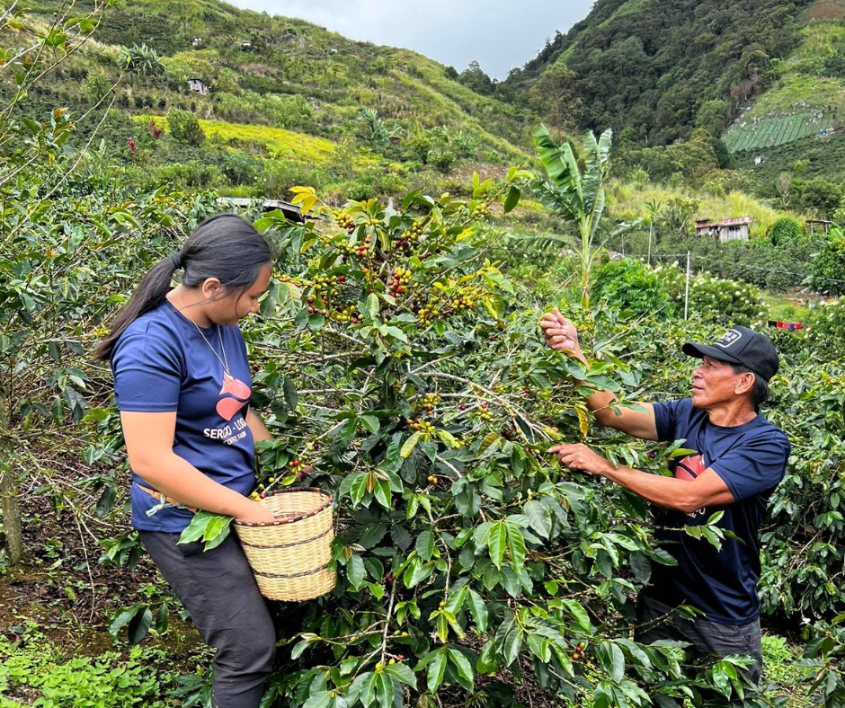 Sergio-Loon Coffee Farm